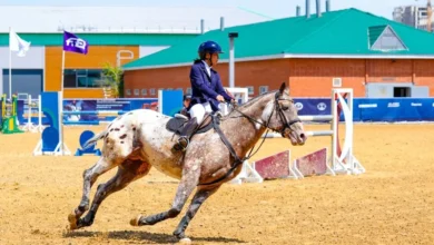 Спорт Министрі | Қазақстан құрамасы үстел теннисінен Ташкентте өткен WTT Youth Contender турнирінде жеті медаль жеңіп алды