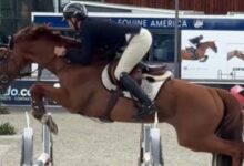 Спорт Министрі | Азамат жеңді, Жәмиля мен Ризабек жеңілді