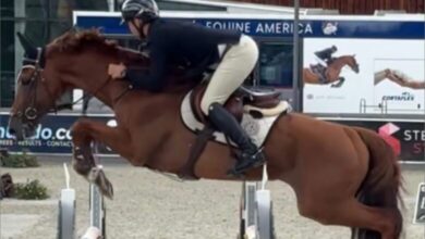 Спорт Министрі | Алматыда үстел теннисінен халықаралық WTT Youth Contender турнирі өтеді