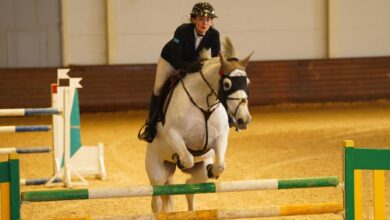 Спорт Министрі | Қазақстан Республикасы чемпионаты: конкур бойынша екінші күннің қорытындылары