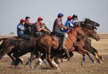 Спорт Министрі | Көкпар турнирінде Меркі жігіттері жеңімпаз атанды